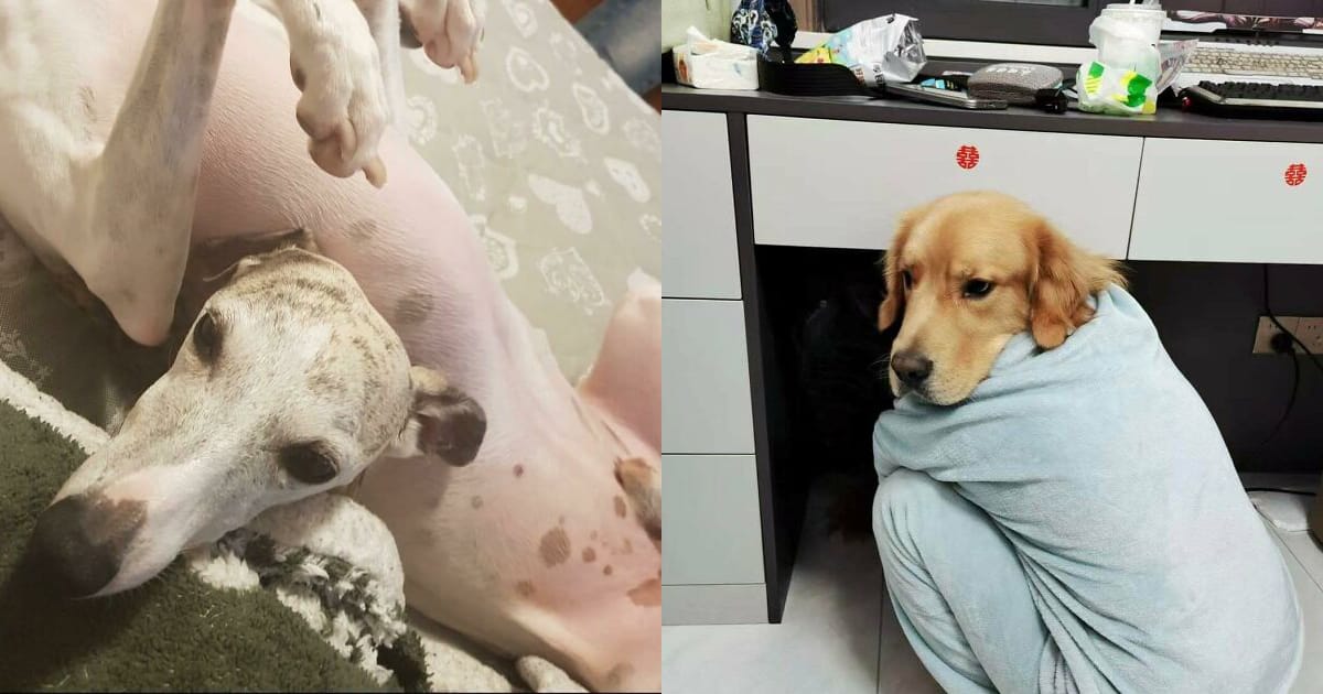 40 illusions d'optiques qui jouent avec votre cerveau 3 illusions d'optique